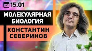 Константин Северинов. Молекулярная биология. Как клонируют ДНК - кошмар борцов с ГМО