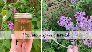 let's make lilac jelly💜 // simple seasonal recipe // cottagecore recipe // slow living //homemaker