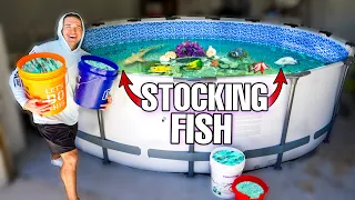 Stocking My SALTWATER POND With THOUSANDS of FISH!