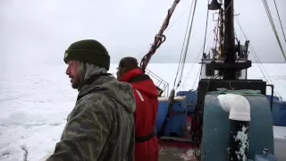 Seal hunting in the Magdalen Islands