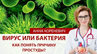 Вирус или бактерия? Как понять причину простуды?