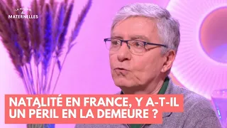 Natalité en France, y a-t-il un péril en la demeure ? - La Maison des maternelles #LMDM