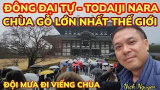 VIẾNG CHÙA ĐÔNG ĐẠI TỰ NARA VỚI NHỮNG CHÚ NAI DỄ THƯƠNG TRONG NGÀY MƯA GIÓ TẦM TÃ || Nick Nguyen