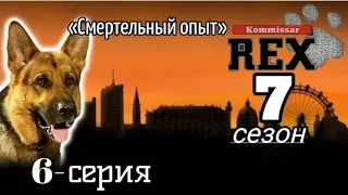 Комиссар Рекс, 7 сезон, 6 серия «Смертельный опыт»