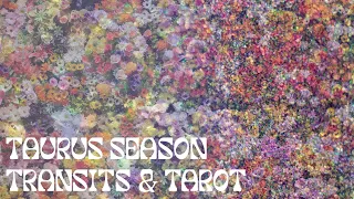 Taurus Season Transits & Tarot