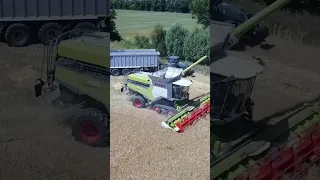 Claas Lexion 7700 New Holland T7