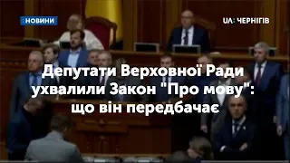 Депутати Верховної Ради ухвалили Закон «Про мову»: що він передбачає