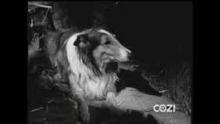 Lassie - Episode #181 - "Camp Out" - Season 5 Ep. 38 - 05/24/1959