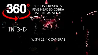 FIVE HEADED COBRA IN 3D  VR 360 LIVE IN LAS VEGAS BUZZTV SEASON 13 EPISODE 5