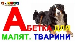 Абетка для дітей "Тварини" - Вчимо український алфавіт