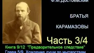 " Братья Карамазовы " - Часть 3/4 - Книга 9/12 - Глава 5/9