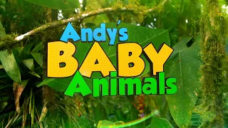 Full Theme Song! 🎶 | Andy's Baby Animals