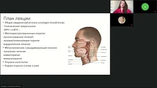 Подготовка к экзамену ESMO: стандарты лечения опухолей головы и шеи