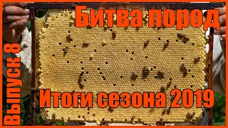 Итоги сезона 2019 Битва пород