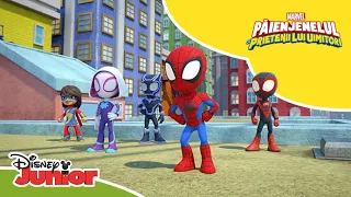 🦸 Lucrul în echipă | Păienjenelul Marvel și prietenii lui uimitori | Disney Junior România