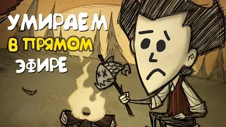 ВЫЖИВАЕМ И СТРОИМ ГОРОД В ДОНТ СТАРВ ТУГЕЗЕР: Don't Starve Together