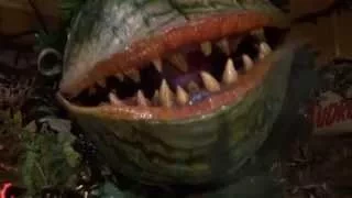 MEAN GREEN MOTHER; LITTLE SHOP HORRORS;SOUNDTRACK;