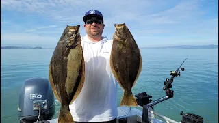 WIDE OPEN HALIBUT BITE | Trolling Anchovies & Herring SF BAY