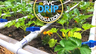 PVC Drip Irrigation System | EASY DIY