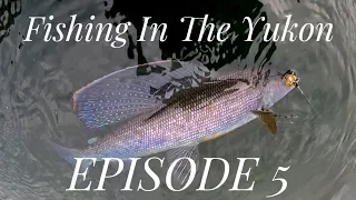 Fishing in the Yukon EPISODE 5