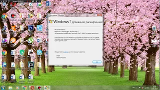 Как узнать версию и сборку Windows