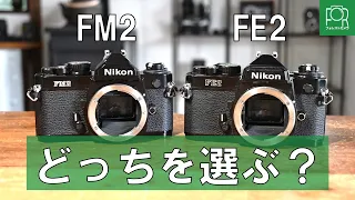 【究極の選択】Nikon FE2とNikon FM2、どっちを選ぶべき？