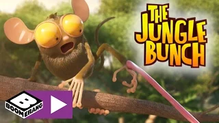 The Jungle Bunch | Rude Awakening | Boomerang UK