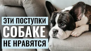 Собаке такое не нравится! Как ваши ПОСТУПКИ РАССТРАИВАЮТ СОБАКУ?