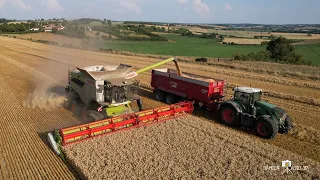 🌾 Moisson 🌾/ Claas Lexion 8700 TT & 10m80 de coupe / SARL THOMAS