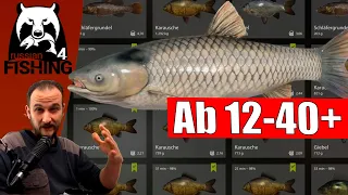 Russian Fishing 4 - Alte Festung - Spot für Groß und Klein