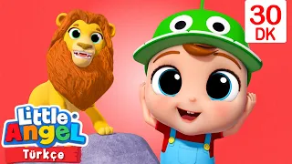 Sesli ve Sessiz Hayvanat Bahçesi 🦁 Eğlenceli ve Öğretici Çocuk Şarkıları | Little Angel Türkçe