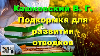 #Кашковский В. Г. Подкормка для развития отводков