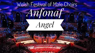 Anfonaf Angel [London Welsh Festival of Male Voice Choirs] in the Royal Albert Hall