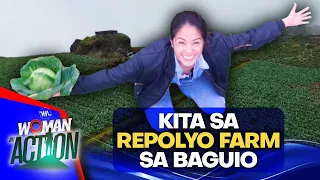 Repolyo farm sa Baguio kumikita ng P25K-150K/buwan!