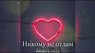 Ahmedshad -  Никому не отдам