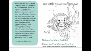 The Little Yellow Hermit Crab