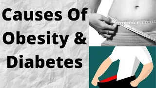How To Burn Belly Fat-Part 1/Causes Of Obesity and Diabetes/How To Burn Stubborn Belly Fat