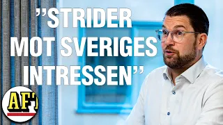 Jimmie Åkesson (SD): ”Finns de som bara är här för att ställa till jäkelskap”