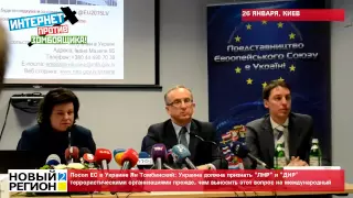 26.01.15 Посол ЕС в Украине Ян Томбинский о признании "ЛНР" и "ДНР" террористическими организациями