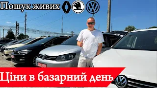 Луцьк автобазар / ПОШУК VAG / ЦІНИ НА АВТО Skoda Volkswagen #автопідбір // ЩО КУПИТИ ДО 11.000$