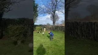 Little kid gets smashed with a rugby ball