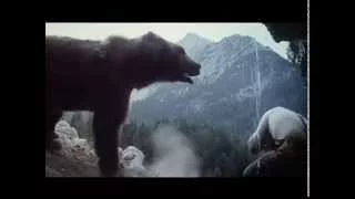 The Bear / L'Ours (1988) - English trailer