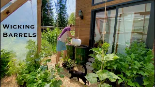 (Part2) Melon Lasagna Self-Watering Barrels