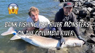 Columbia River Sturgeon |Bank Fishing for Sturgeon |Oregon Sturgeon Fishing |Bonneville Dam Sturgeon