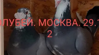 МОСКВА. БОЛЬШАЯ Сборная часть 2