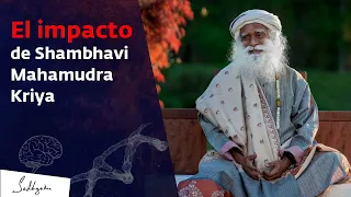 Mejora tu vida con Ingenería Interior: Shambhavi Mahamudra Kriya | Sadhguru Español