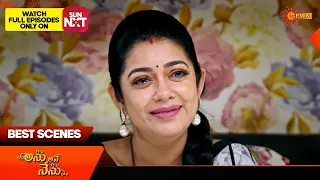 Anu Ane Nenu - Best Scenes | 03 May 2024 | Gemini TV Serial