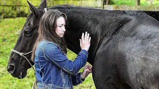 Le Cheval de Megan  | Film Complet en Français | Famille, Drame