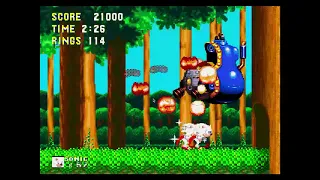 white sonic in sonic 3 and knuckles