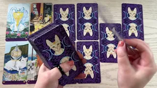 Близнецы Январь 2024 Отношения Деньги Таро Прогноз Tarot